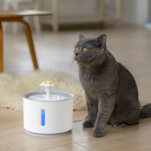 Fuente de agua para gatos automática