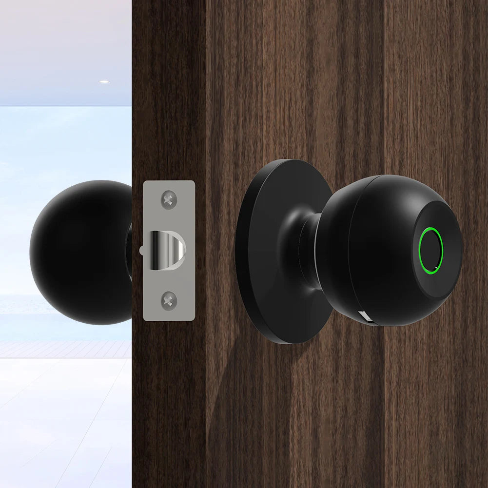 Cerradura de Puerta inteligente